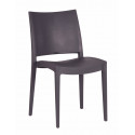 Specto Dining Chair