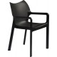 Diva Dining Chair